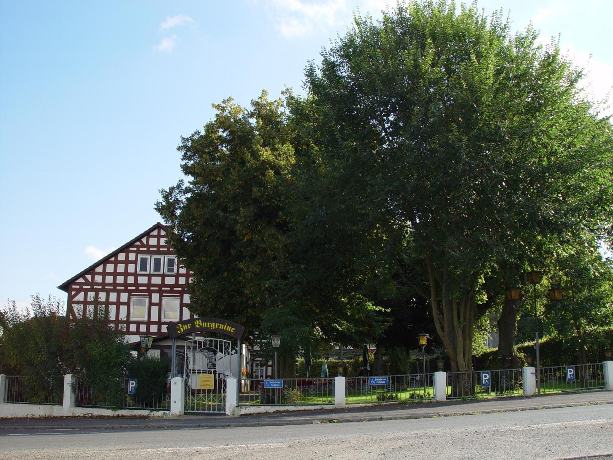 Zur Burgruine Frauenberg Hotel Ebsdorfergrund ภายนอก รูปภาพ